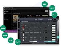 Consolidated Digital Music Converters Image 2