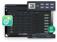 Consolidated Digital Music Converters Image 3