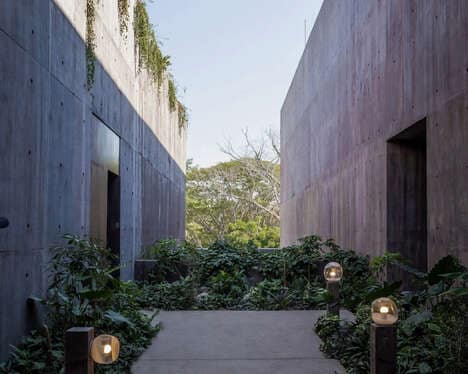 Rustic Ruin-Inspired Aquariums