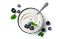Highly Stable Yogurt Cultures Image 1