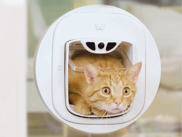 Prey-Detecting Smart Cat Doors