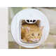 Prey-Detecting Smart Cat Doors Image 1