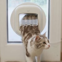 Prey-Detecting Smart Cat Doors Image 2