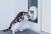 Prey-Detecting Smart Cat Doors Image 3