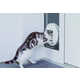 Prey-Detecting Smart Cat Doors Image 3