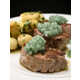 11 Encapsulated Food Pearls Image 1