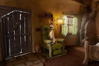 Filmic Swamp Accommodations Image 2