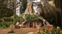 Cult Film-Inspired Rented Spaces Image 2