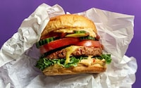 Plant-Based Meat Texture Solutions