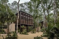 Minimal Wooden Lush Hotels