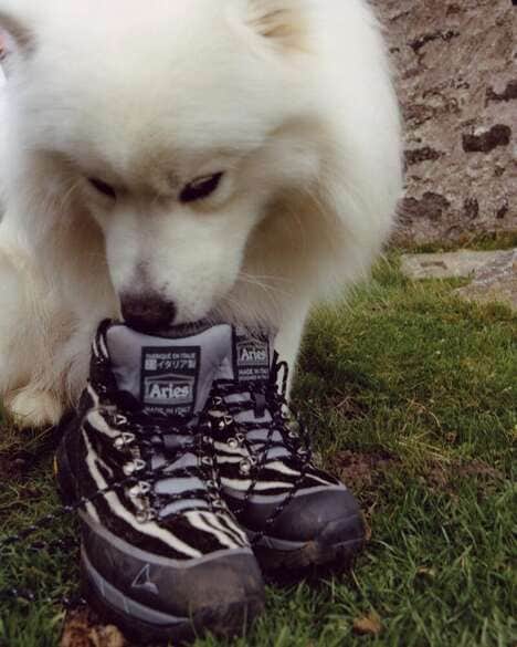Rugged Collaborative Hiking Boots