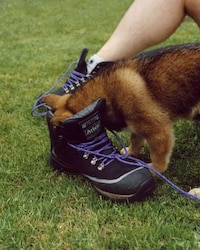 Rugged Collaborative Hiking Boots Image 4