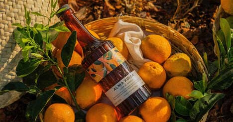 Mexican Citrus Liqueurs