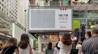 Illusory Fry Billboards Image 2