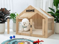 Chic Plywood Dog Houses