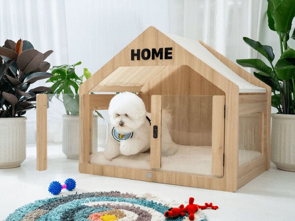 Chic Plywood Dog Houses