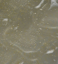Probiotic Blemish Serums Image 4