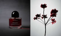 Gourmand Oud Fragrances