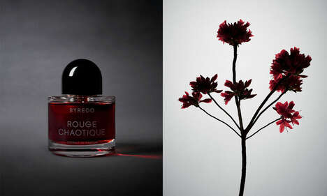 Gourmand Oud Fragrances