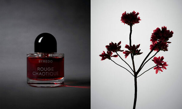 Gourmand Oud Fragrances
