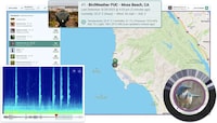AI Bird Identifying Devices Image 2