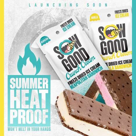 Freeze-Dried Ice Cream Sandwiches