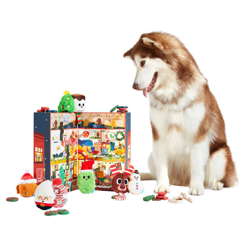 BARK Season's Treatings Advent Calendar for Dogs