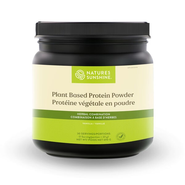 Plant-Based Protein Powders