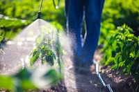 Efficient Grower Insecticides Image 1
