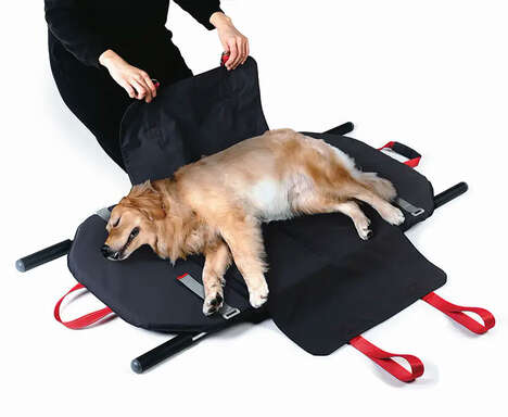 Collapsible Canine Stretchers