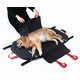 Collapsible Canine Stretchers Image 1