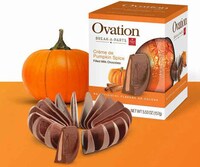Break-Apart Pumpkin Spice Chocolates Image 1