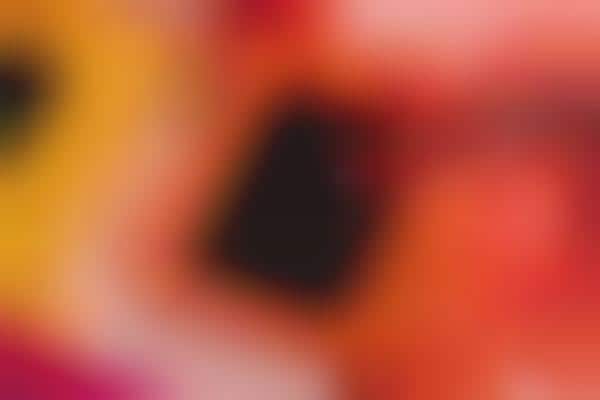 Compact Music Samplers