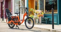 Dual-Battery Cargo eBikes Image 1