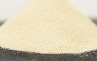 Fermented Yeast Protein Ingredients