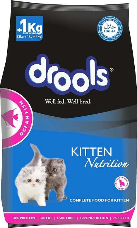 Indian Kitten-Focused Foods