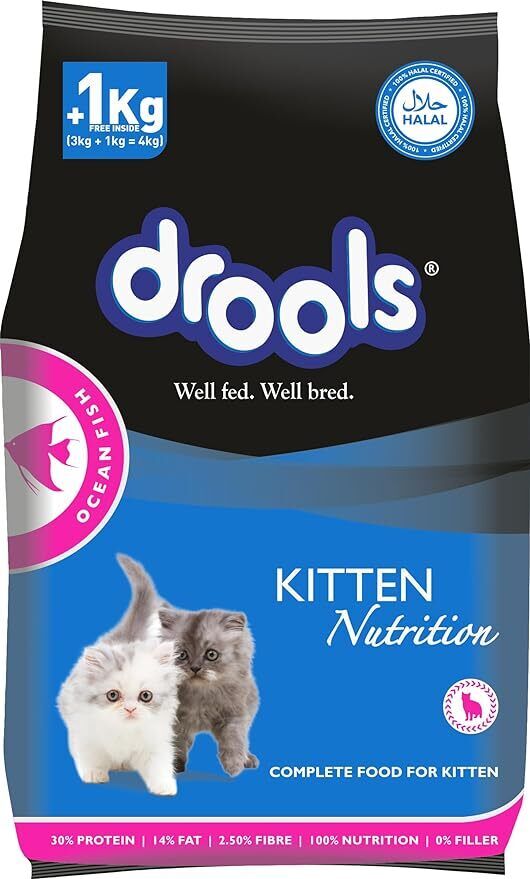 Indian Kitten-Focused Foods