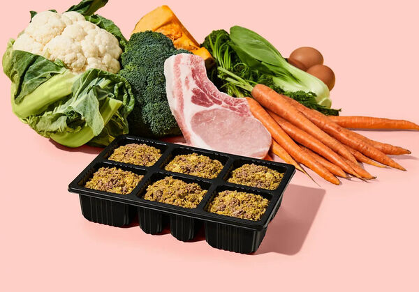 Custom Puppy Food Diets