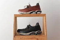 Evolution Hybrid Sneaker Designs Image 4