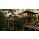 Tranquil Treetop Bali Resorts Image 1