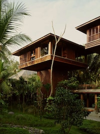 Tranquil Treetop Bali Resorts Image 2