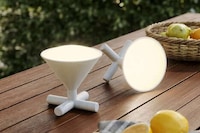 Versatile Torch-Style Lighting Systems Image 1