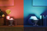 Versatile Torch-Style Lighting Systems Image 3