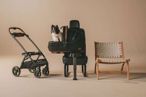 Safety-Focused Pet Travel Carriers
