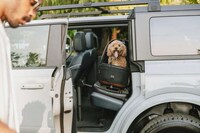 Safety-Focused Pet Travel Carriers Image 2