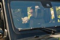 Safety-Focused Pet Travel Carriers Image 7
