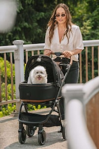 Safety-Focused Pet Travel Carriers Image 8