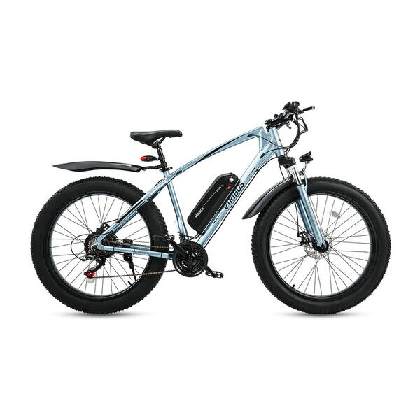 Adjustable Assistance E-Bikes