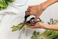 Bat-Inspired Kitchen Scissors Image 3