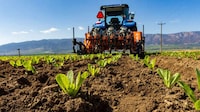 Pull-Behind Mechanical Weeders Image 1